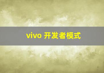 vivo 开发者模式